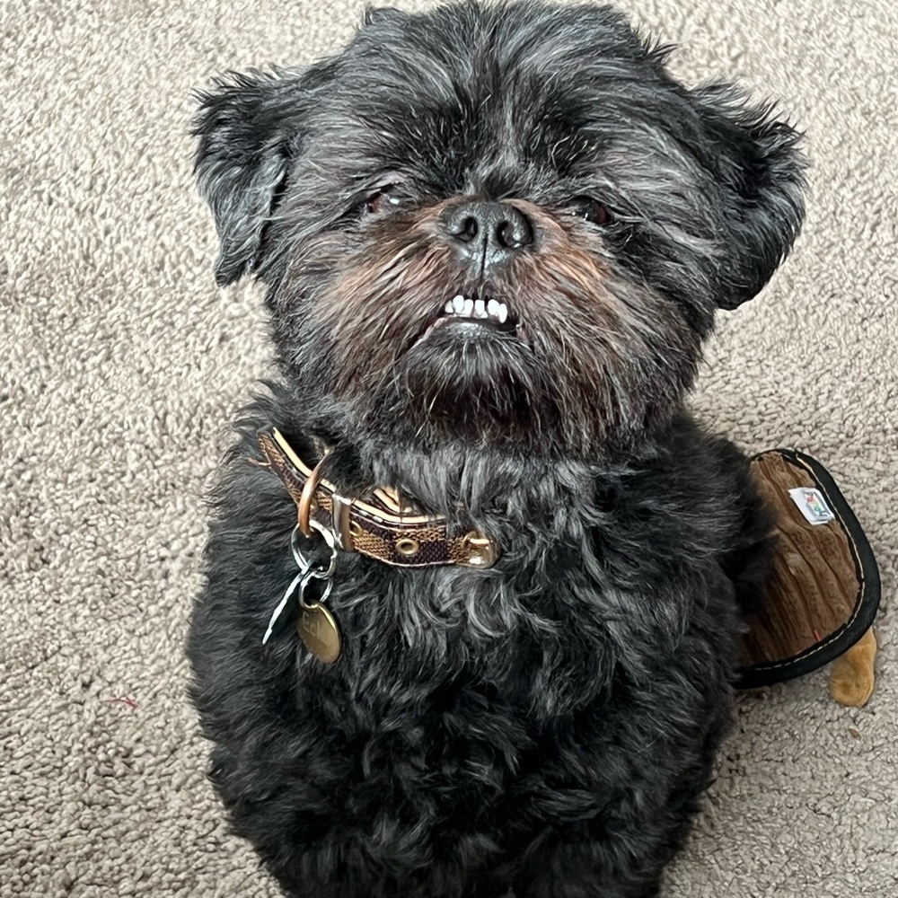 Meet your Posher, Mandee